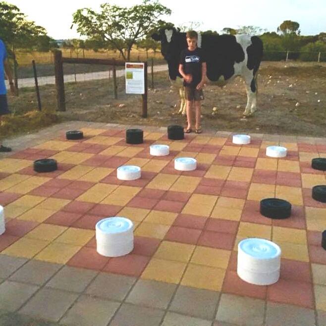         Play Checkers