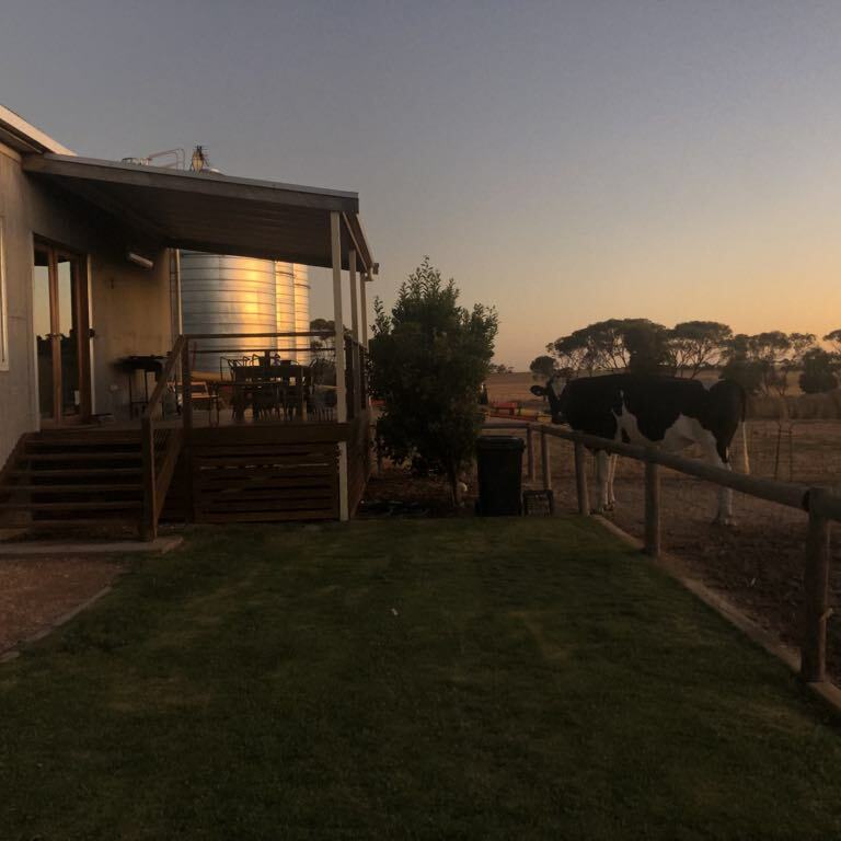 Wake up with Patches